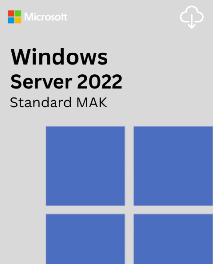 Microsoft Windows Server 2022 Standard MAK 100 PC