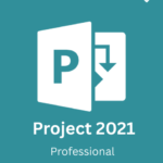 Microsoft Project 2021 Pro license