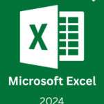 Microsoft Excel 2024 license