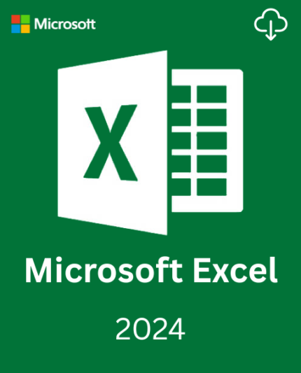 Microsoft Excel 2024 license